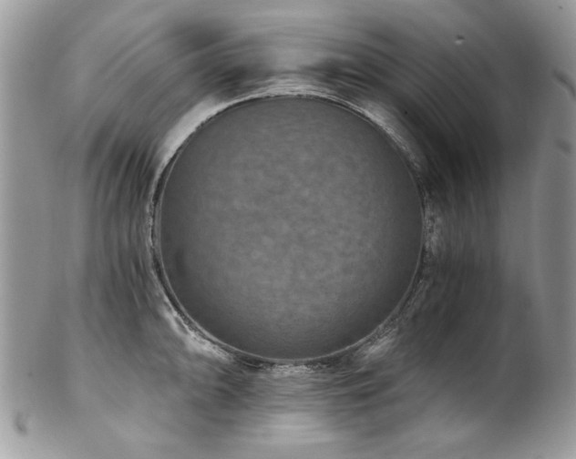 X0000102821094200808181240