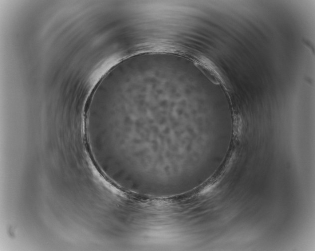 X0000102821095200808181240
