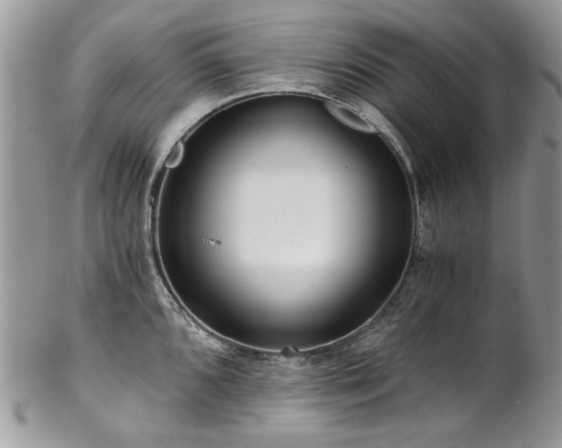 X0000102821096200808181240