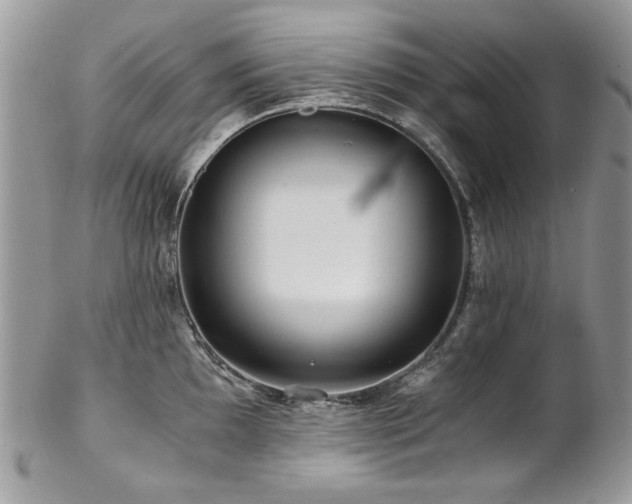 X0000102821097200808181240