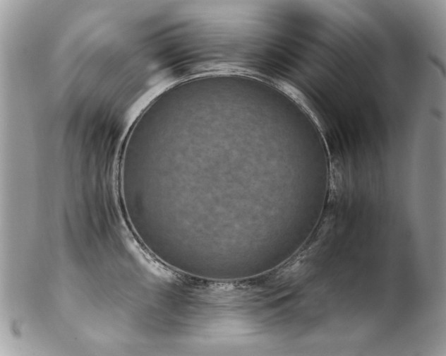 X0000102821098200808181240