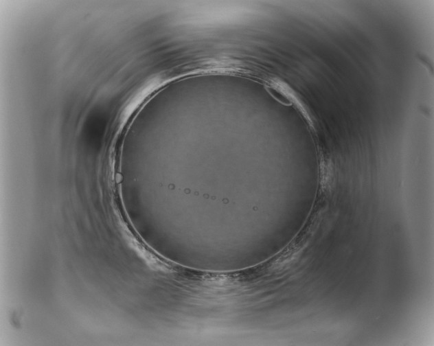 X0000102821099200808181240