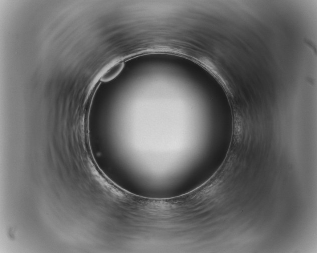 X0000102821100200808181240