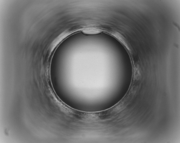 X0000102821101200808181240