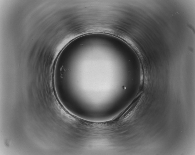 X0000102821102200808181240