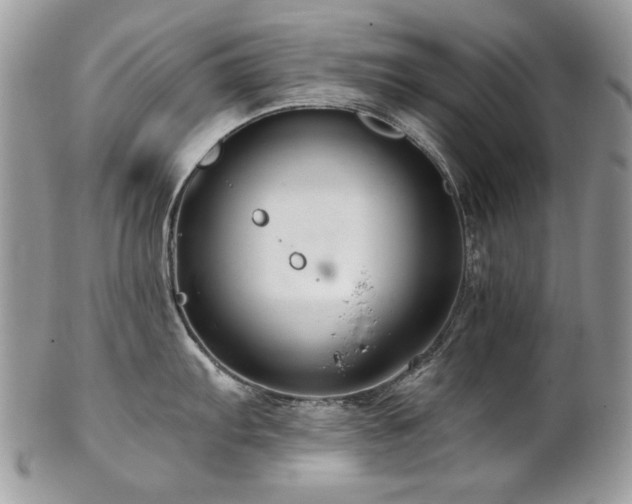 X0000102821103200808181240