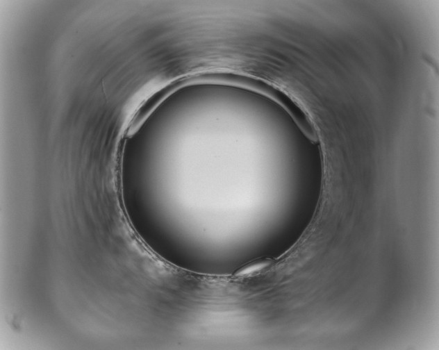 X0000102821104200808181240