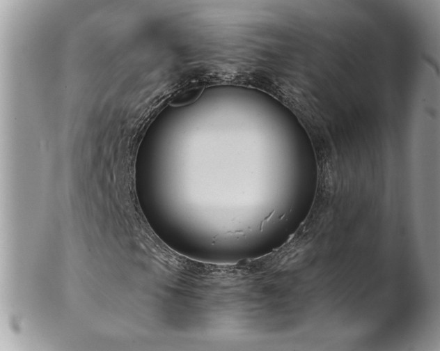 X0000102821105200808181239