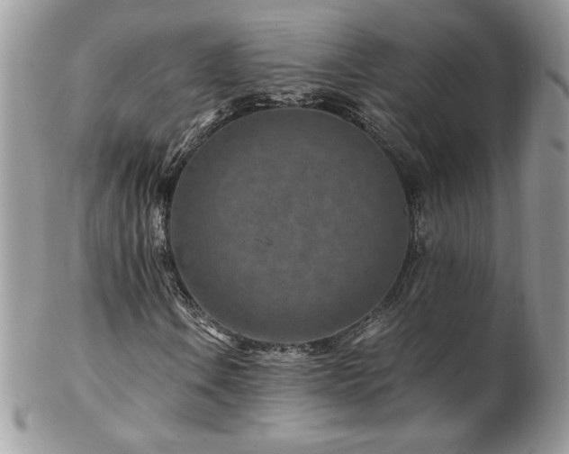 X0000102821106200808181239