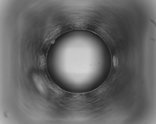 X0000102821107200808181239