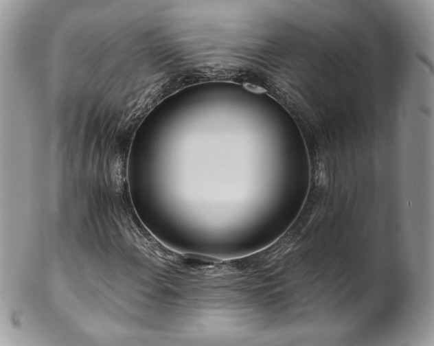 X0000102821108200808181240