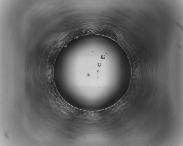 X0000102821109200808181240