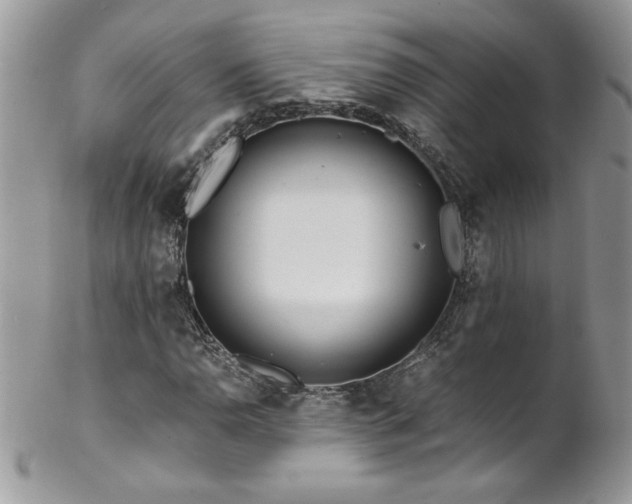 X0000102821110200808181240