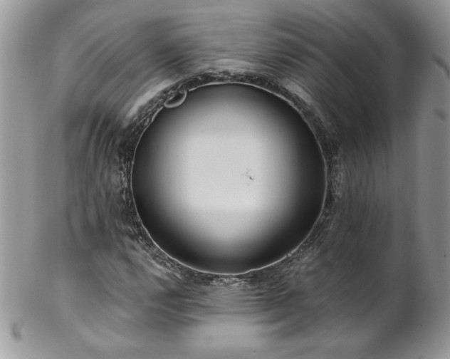 X0000102821112200808181240
