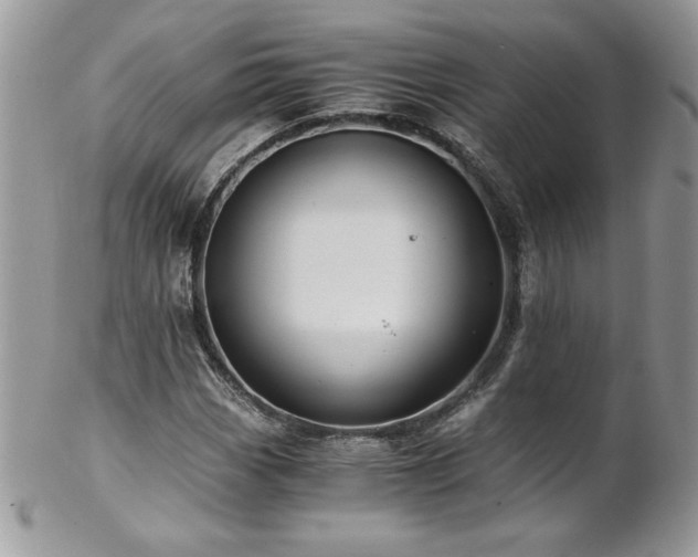 X0000102821113200808181240