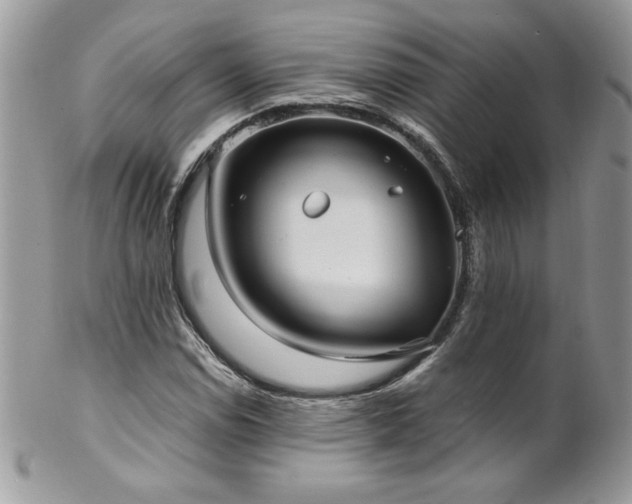 X0000102821114200808181240