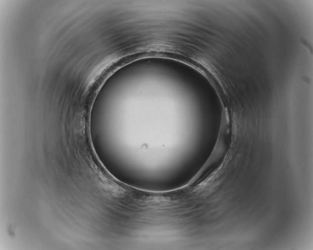 X0000102821115200808181240