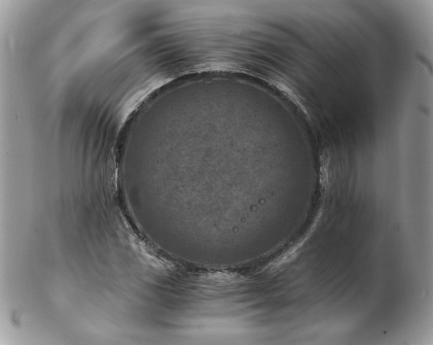X0000102821117200808181240