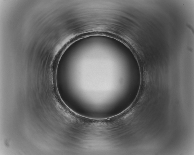 X0000102821118200808181240