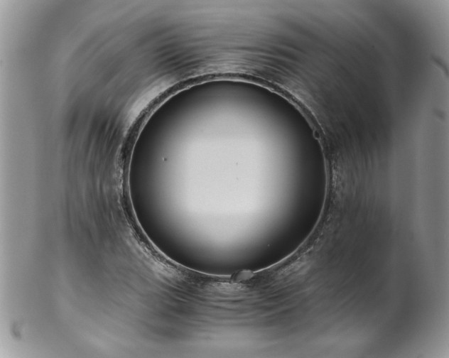 X0000102821119200808181240