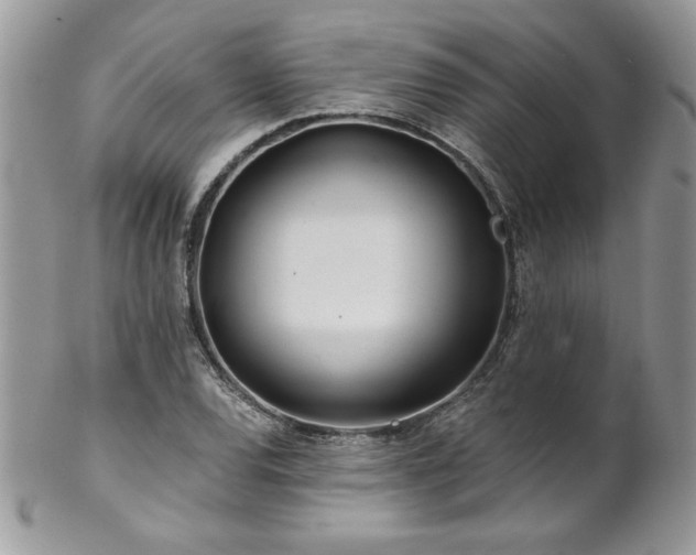 X0000102821120200808181240