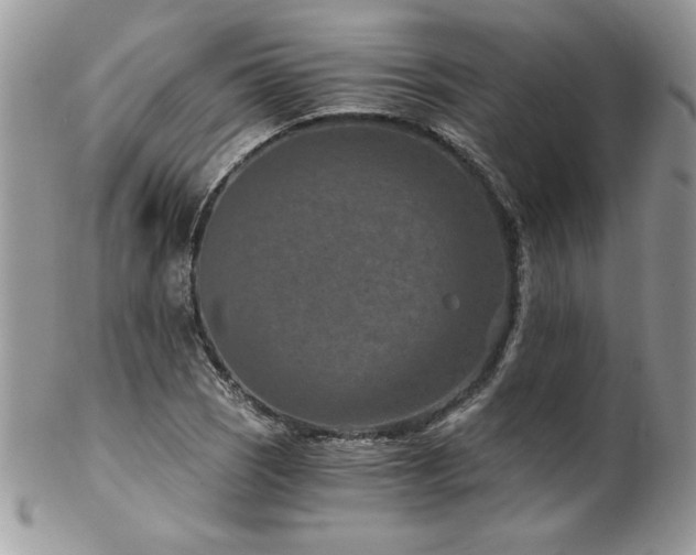 X0000102821121200808181240