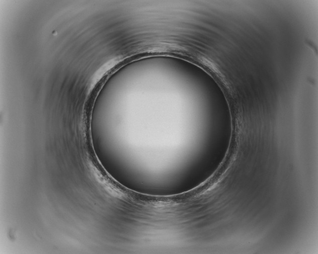 X0000102821122200808181240
