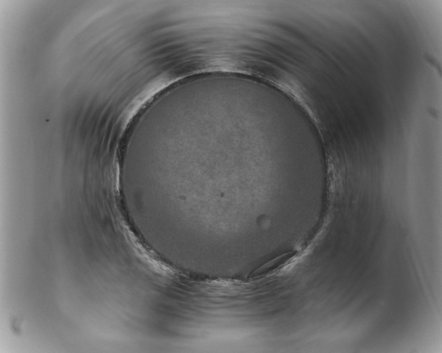 X0000102821125200808181240