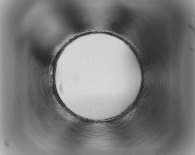 X0000102821126200808181240