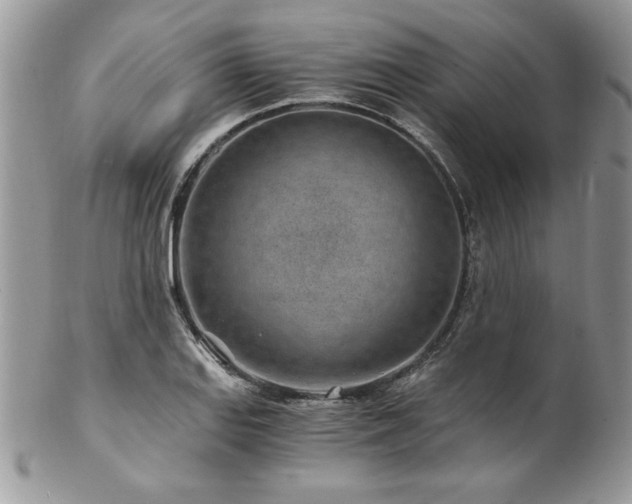 X0000102821127200808181240