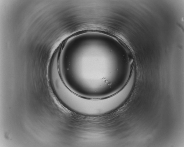 X0000102821128200808181240