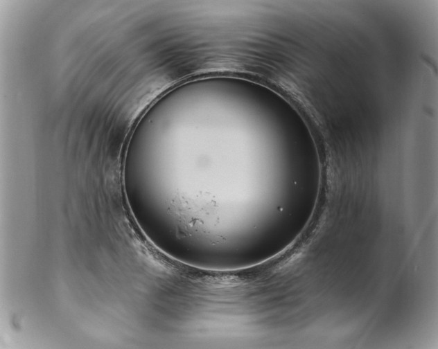 X0000102821129200808181240