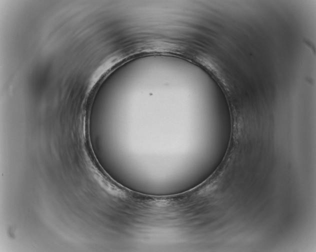 X0000102821130200808181240