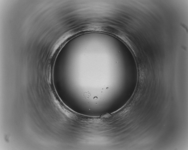 X0000102821131200808181240