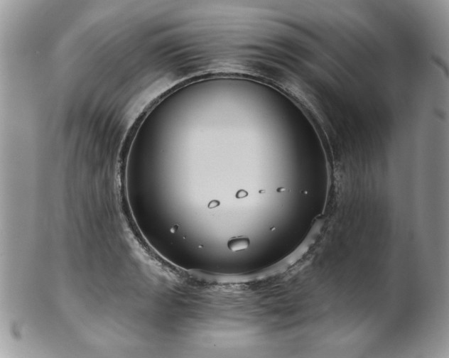 X0000102821133200808181240