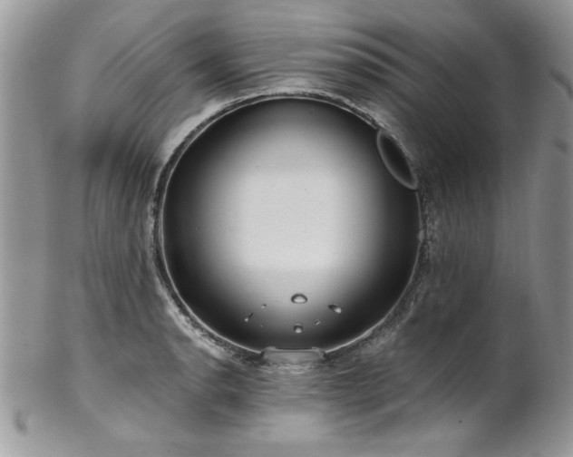 X0000102821134200808181240