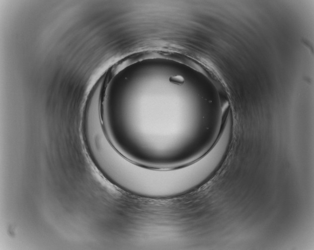 X0000102821136200808181240