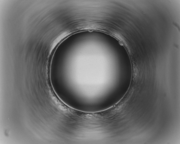 X0000102821138200808181240