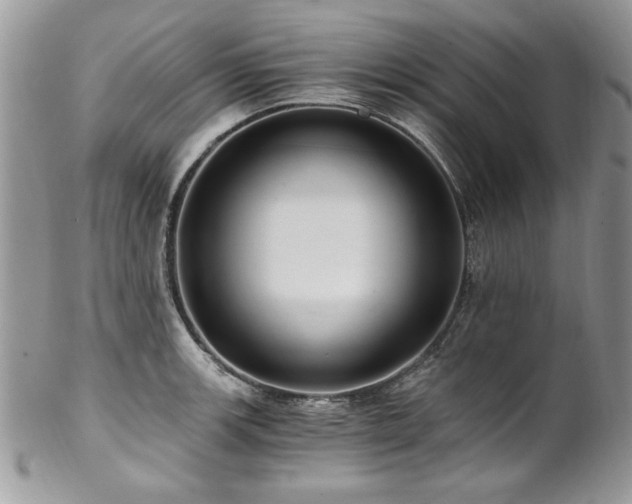 X0000102821139200808181240
