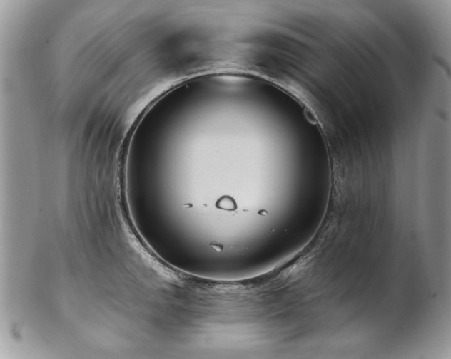 X0000102821142200808181240