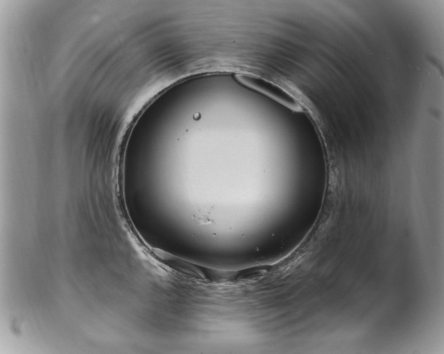 X0000102821144200808181240