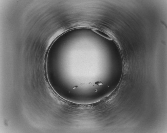 X0000102821146200808181240
