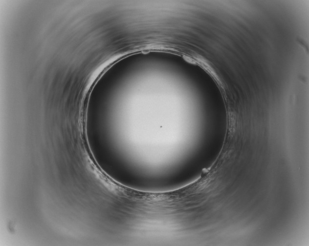X0000102821148200808181240