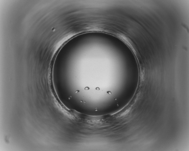 X0000102821149200808181240