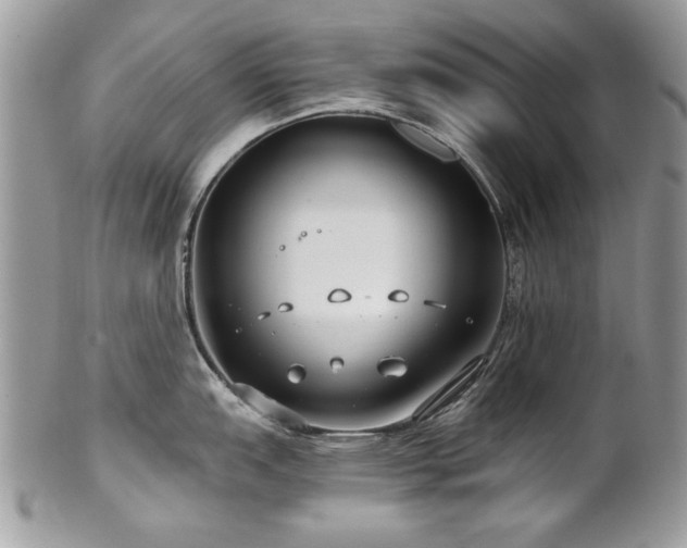 X0000102821151200808181240