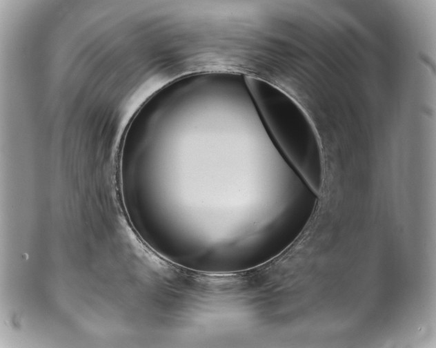 X0000102821152200808181240