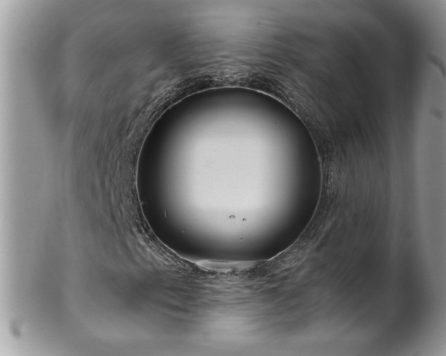 X0000102821153200808181239