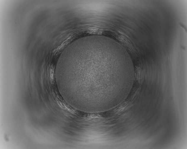 X0000102821154200808181239