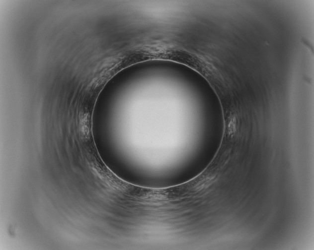 X0000102821156200808181239