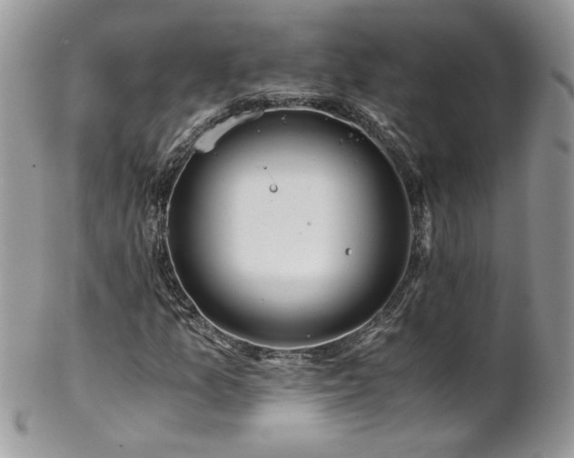 X0000102821157200808181239